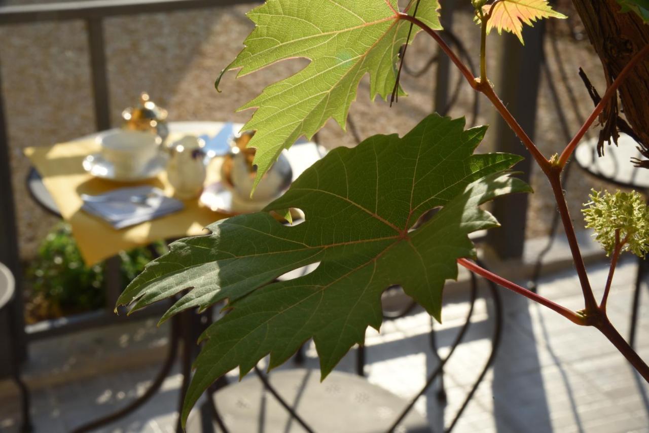 Umema B&B Albenga Kültér fotó